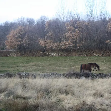 Dos Infantas Lilas Valdespino